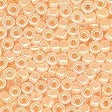 Mill Hill Glass Seed Beads 11/0 4.54 gms