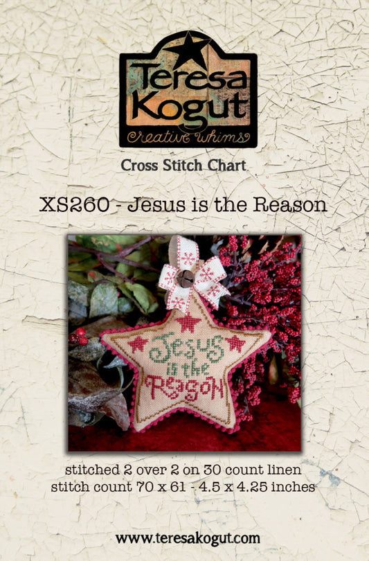 Jesus is the Reason Star Ornament by Teresa Kogut