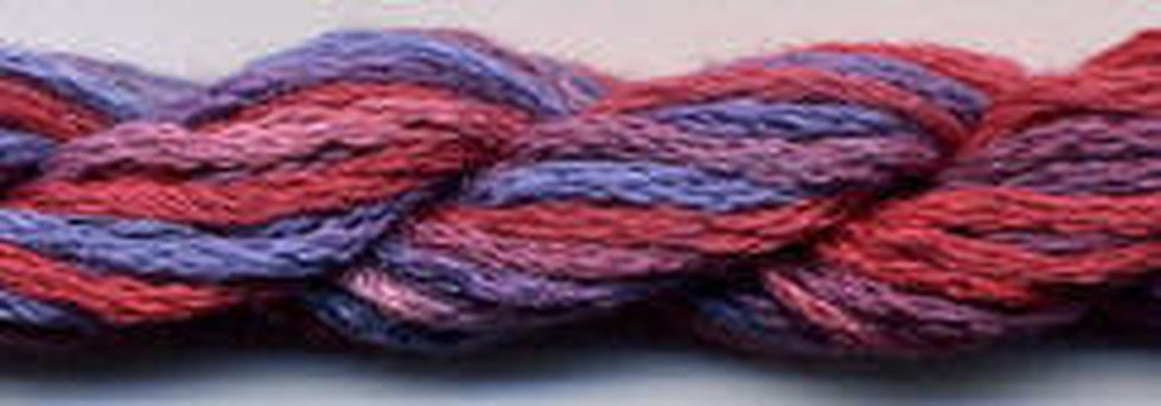 DD Rosella