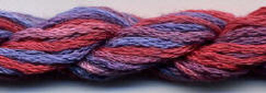 DD Rosella